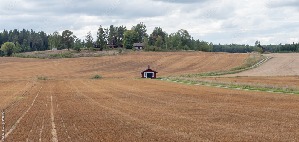 Obraz premium Waved cultivated row field. Rustic autumn landscape in brown tones in a sunny day with clouds