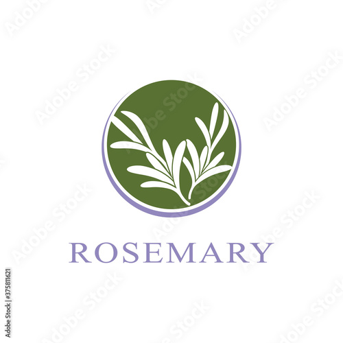 rosemary leaf vector logo illustration template