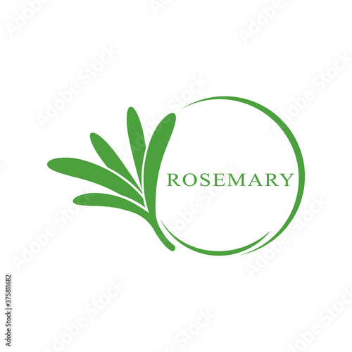 rosemary leaf vector logo illustration template