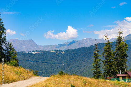 mountain road. Yellow field on a background of mountains and blue sky.