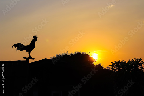Sunrise with silhouette of rooster and treetop in the morning on beautiful sky background