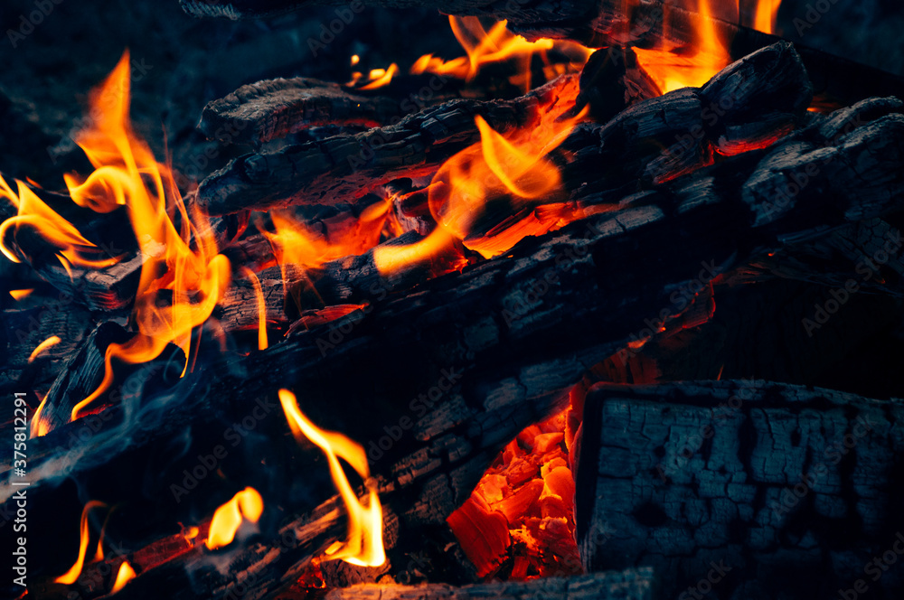 Close up of woods burning in the camp fire Close up of woods burning in the camp fire