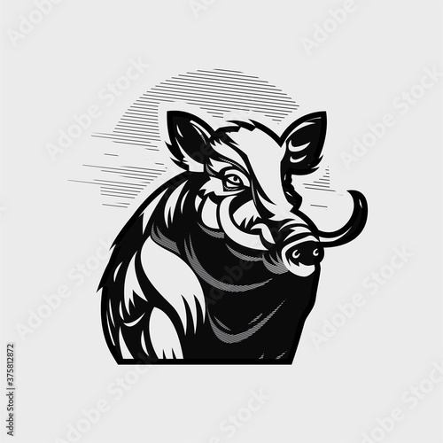 An adult wild boar with large tusks.