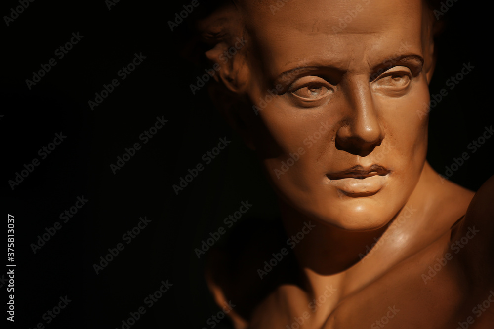 Ritratto di giovane uomo, primo piano di testa in terracotta di provenienza europea, scultura su fondo scuro con spazio per testo Ritratto di giovane uomo, primo piano di testa in terracotta di provenienza europea, scultura su fondo scuro con spazio per testo