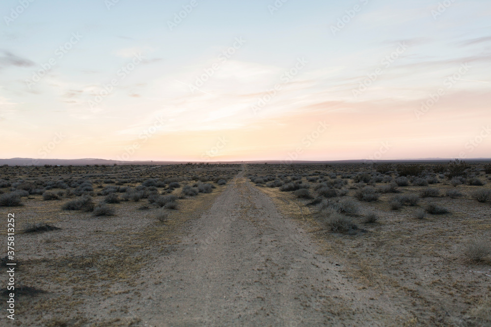Sunset on a dirt road in the Mojave desert Sunset on a dirt road in the Mojave desert