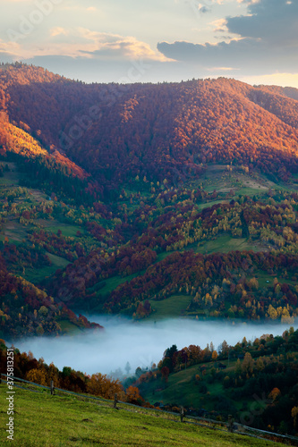 foggy morning in autumn mountains. countryside scenery in fall colors. colorful trees on the hillside. landscape beneath a sky with clouds at sunrise