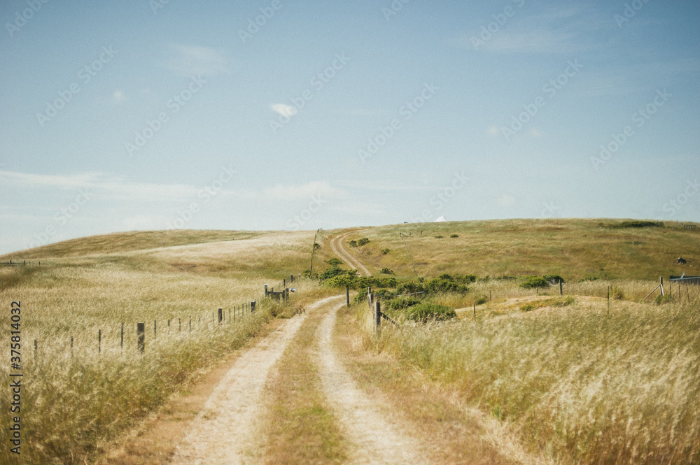 Dirt road in farmers field in Nicasio Valley California Dirt road in farmers field in Nicasio Valley California