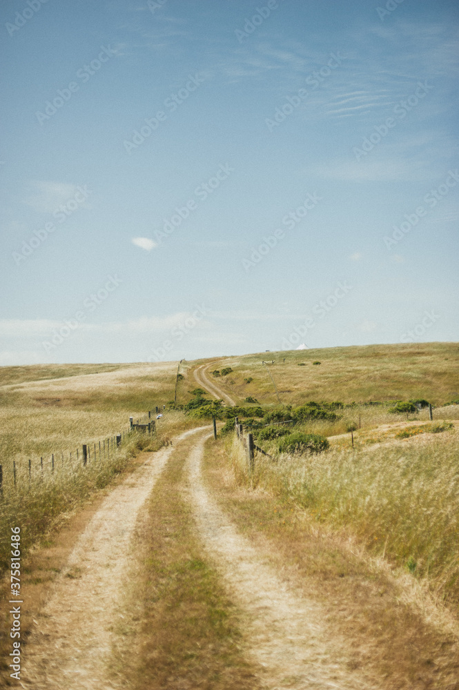 Dirt road in farmers field in Nicasio Valley California Dirt road in farmers field in Nicasio Valley California