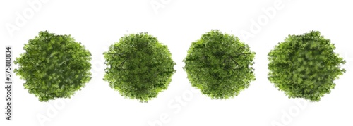green grass on white background, Set of watercolor 3d painting tree top view for landscape plan and architecture layout 