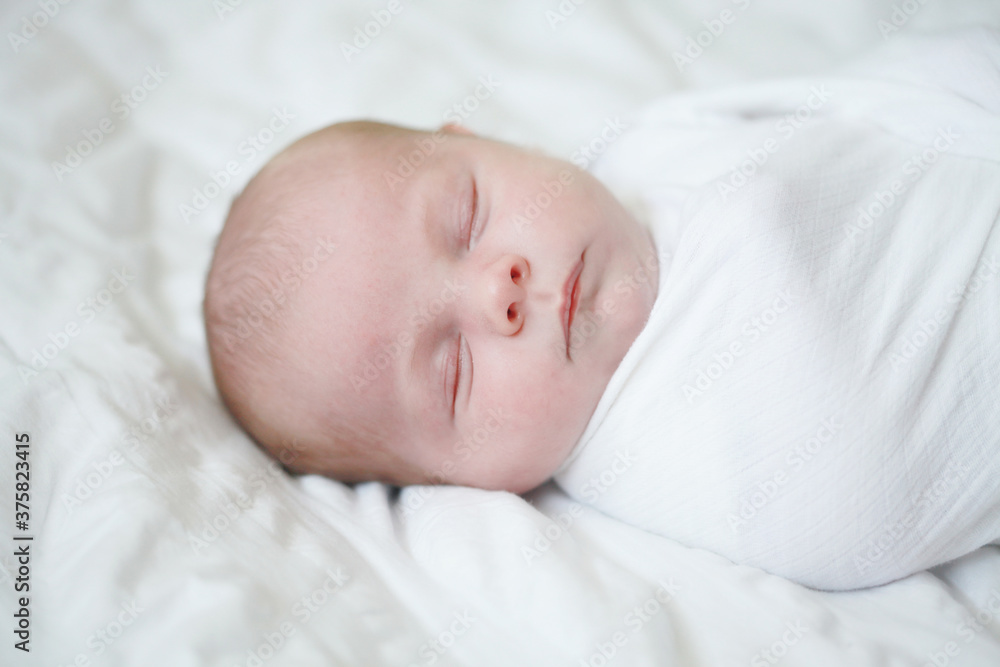 Swaddled Newborn Baby Sleeping Swaddled Newborn Baby Sleeping