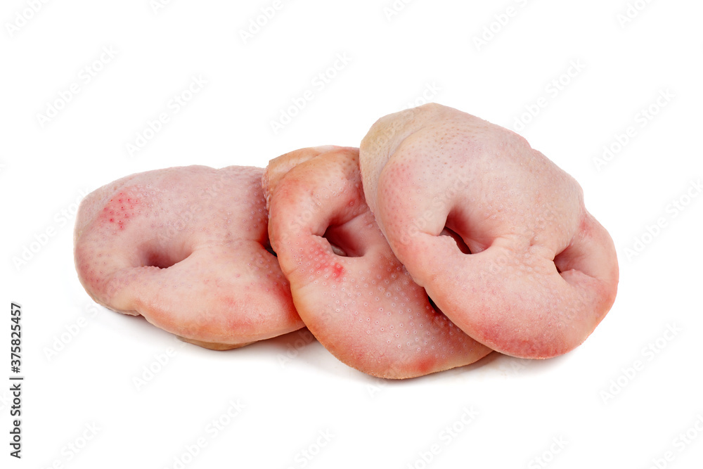 Fototapeta premium Raw pig snouts isolated on white background