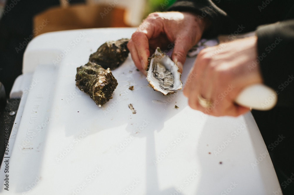 Oyster shucking beach dinner party in California Oyster shucking beach dinner party in California