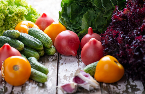 Homegrown organic vegetables for cooking diet salad.