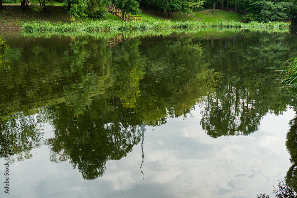 reflection of green trees in a pond in summer reflection of green trees in a pond in summer