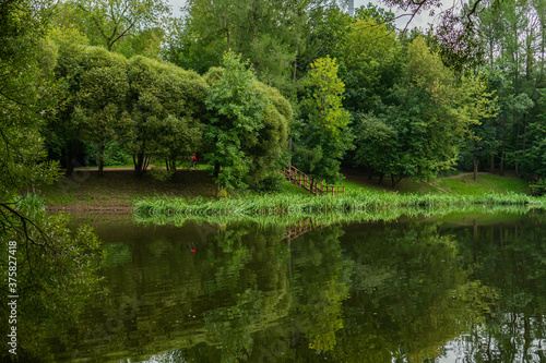reflection of green trees in a pond in summer