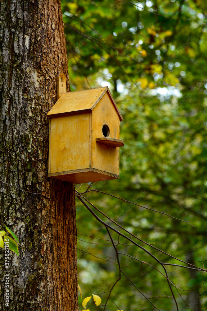 An empty handmade birdhouse on a tree in an autumn Park. The birds flew away. Autumn. An empty handmade birdhouse on a tree in an autumn Park. The birds flew away. Autumn.