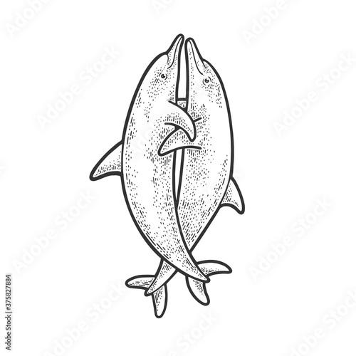 hugging dolphins sketch engraving vector illustration. T-shirt apparel print design. Scratch board imitation. Black and white hand drawn image.