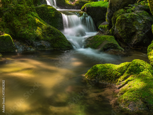 Small Waterfall in the Forest photo