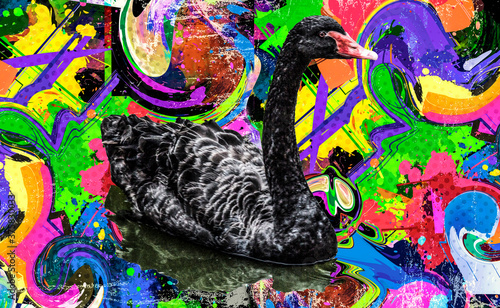 black color abstract art with  swan photo