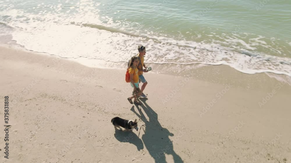 circle drone flight around lovely couple with cute welsh corgi dog walking along sandy beach at seashore at sunny morning. vacation and traveling with pet circle drone flight around lovely couple with cute welsh corgi dog walking along sandy beach at seashore at sunny morning. vacation and traveling with pet