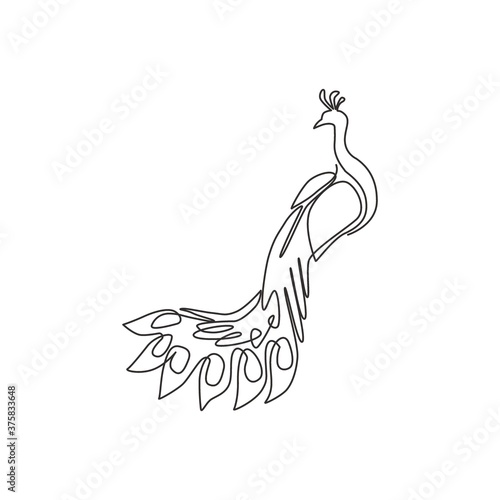 Single continuous line drawing of pretty peacock for company logo identity. Large beauty bird mascot concept for pet lover club icon. Modern one line draw design graphic vector illustration