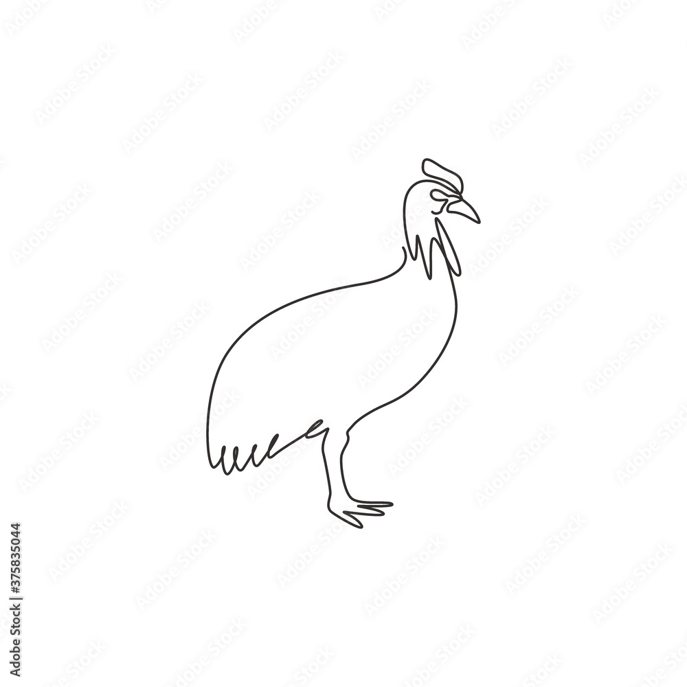 Obraz premium Single continuous line drawing of exotic cassowary for company logo identity. Big flightless avian mascot concept for bird museum icon. Modern one line draw design graphic vector illustration