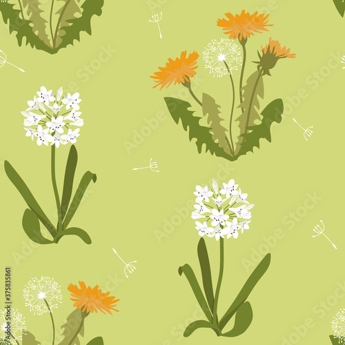 Seamless pattern. White agapanthus flower pattern and dandrelions