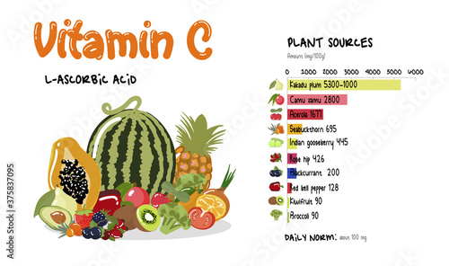 Vitamin C infographics. Top products and plants rich vitamin C ascorbic acid with daily norm and diagram. Flat food illustration. photo