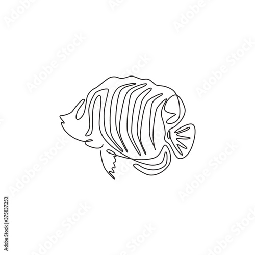 Fototapeta Naklejka Na Ścianę i Meble -  One continuous line drawing of cute regal angelfish for company logo identity. Sea angel fish mascot concept for aquatic show icon. Modern single line draw design vector graphic illustration