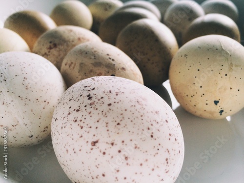 A group of brown and white speckled easter eggs in a white bowl photo