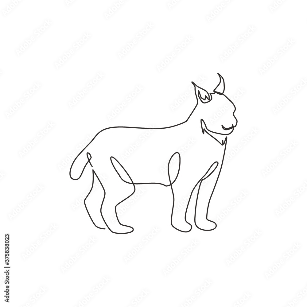 Fototapeta premium Single continuous line drawing of stout lynx cat for company logo identity. Bobcat mammal animal mascot concept for national conservation park icon. Modern one line draw design vector illustration