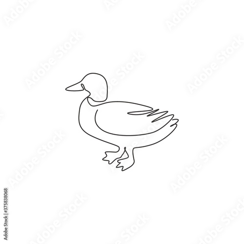 Single continuous line drawing of cute mallard for farm logo identity. Waterfowl duck mascot concept for animal livestock icon. Modern one line draw design vector graphic illustration
