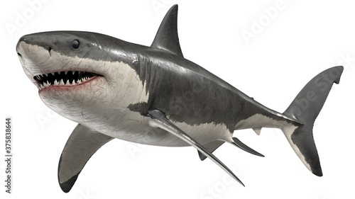 3d rendered great white shark