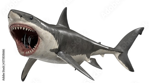3d rendered great white shark © triduza