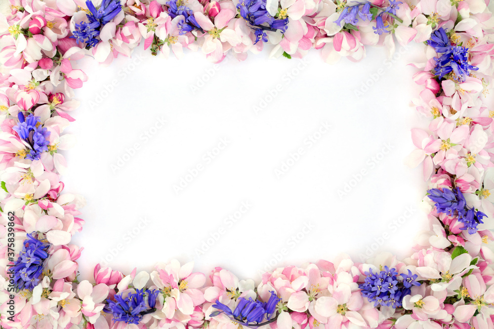 Bluebell and apple blossom flower border on white background with copy space.