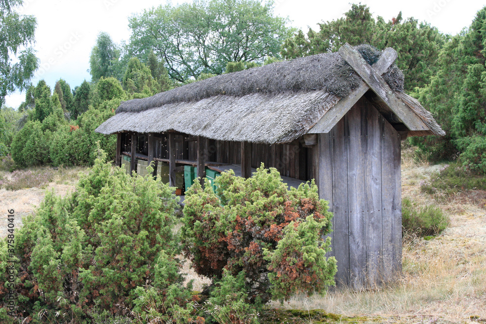 Heideimkerei in Lueneburger Heide, Wilsede, Niedersachsen, Deutschland, Europa Heideimkerei in Lueneburger Heide, Wilsede, Niedersachsen, Deutschland, Europa