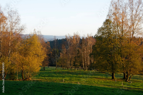 Im Herbst tragen die Baeume und Straeucher ein buntes und schoenes Laub. Thueringen, Deutschland, Europa