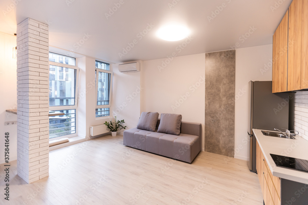 Fototapeta premium Kitchen and living room of loft apartment
