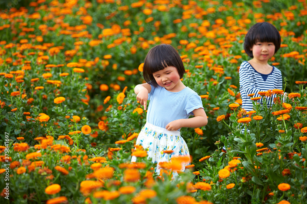happy kids playing in spring field happy kids playing in spring field