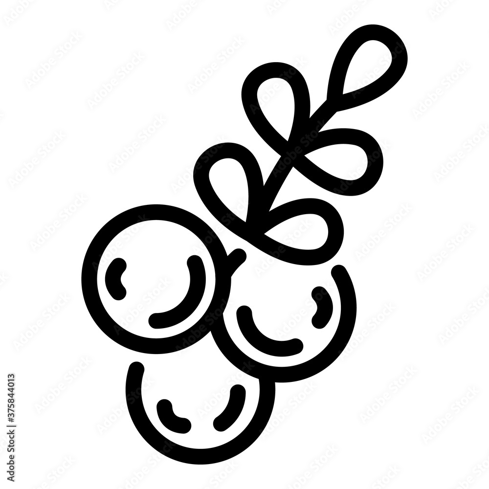 Autumn rowan icon. Outline autumn rowan vector icon for web design isolated on white background