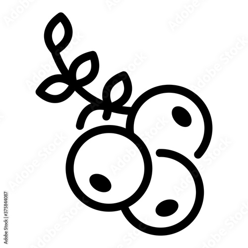 Rowan berries icon. Outline rowan berries vector icon for web design isolated on white background