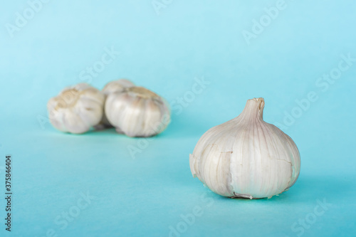 Group of garlic heads on blue background