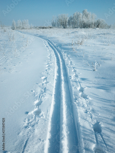 Ski track on a snow in february forest in Russia. Snow and trees in winter time in Russia
