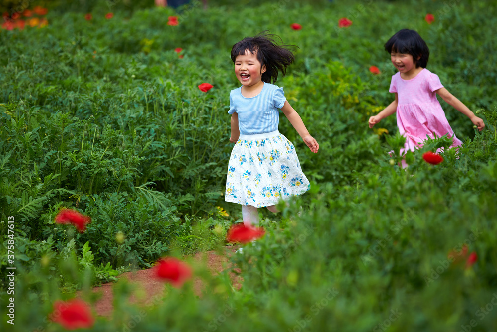 two happy little girls running in the spring field two happy little girls running in the spring field