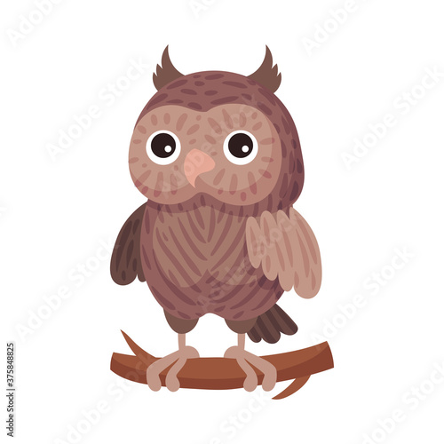 Feathered Owl Sitting on Tree Branch as Forest Night Bird Vector Illustration