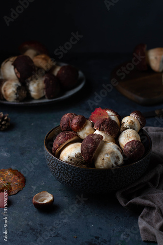 Porcini mushrooms in a cup on a dark background