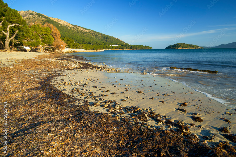 Obraz premium Playa de Formentor.Pollença. Peninsula de Formentor.Mallorca.Baleares.España.