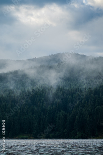 Dramatic view of a dark pine, spruce and fir forest near a calm lake over which steam floats during a mysterious foggy morning. Nature landscape of a coniferous forest and a quiet mountain lake. © Gabriel