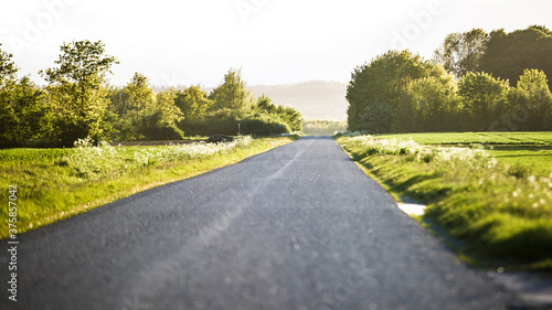 landscape of a country road