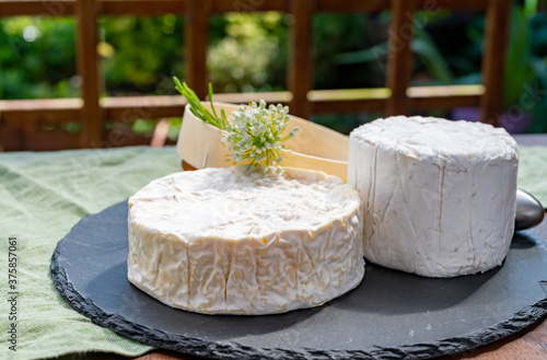 French cheeses collection, pieces of camembert and Le Bleu cow milk blue cheese with white mold.
